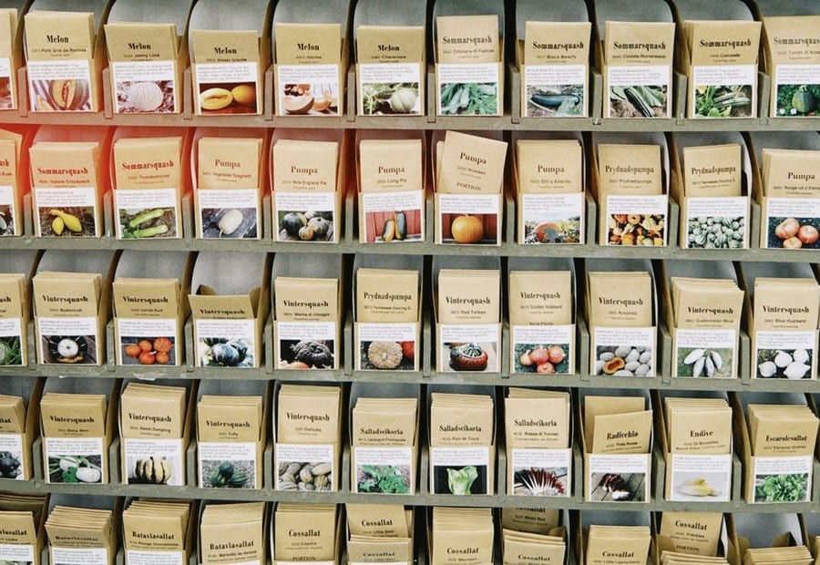 A rack of seed packets sorted by crop