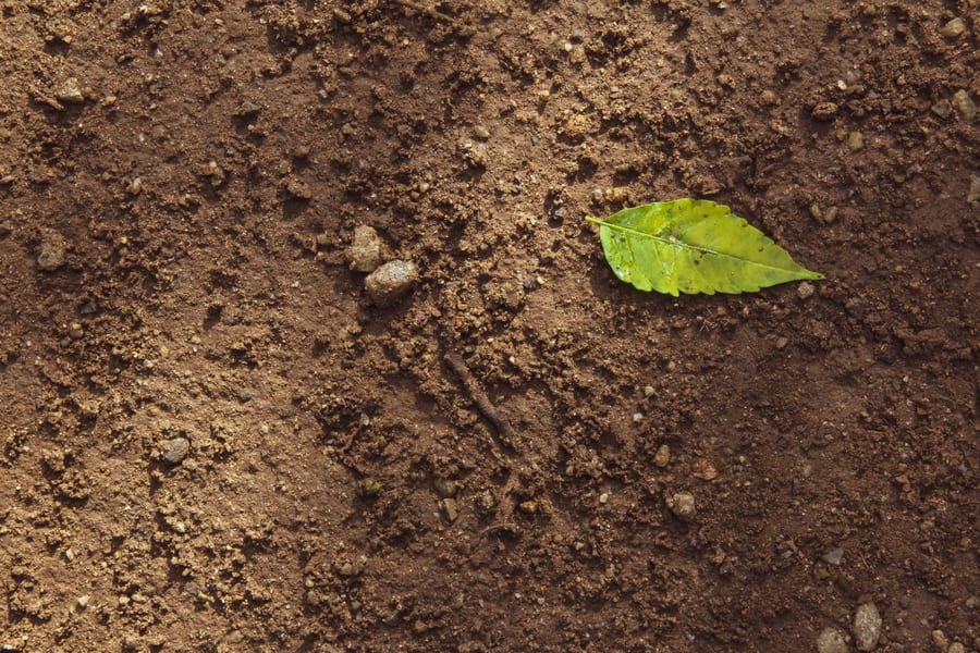 A soil testing kit with sample tubes and a colour chart